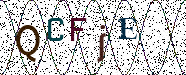 Visual Confirmation Security Code
